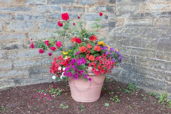 Flowers in a big vase, castle wall as background