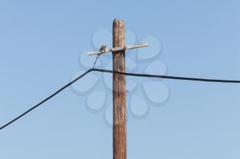 Electicity wires hanging in the blue sky - Selective focus