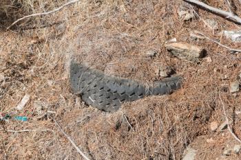 Pollution in Greece - Rubber tire left in nature