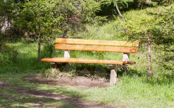 Old wooden park bench in a park