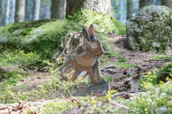 Education in the forest - wooden rabbit waiting to be spotted by children - Selective focus