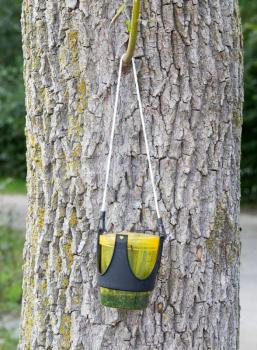 Garden wasp catcher hanging in a tree
