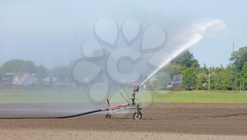 Field is irrigated by a big water jet in the dutch countryside in springtime