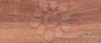 Wood background - Wood from the tropical rainforest - Suriname - Moraexcelsa Benth