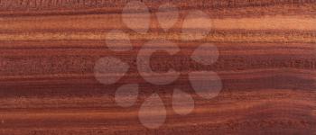 Wood background - Wood from the tropical rainforest - Suriname - Brosimum paraense