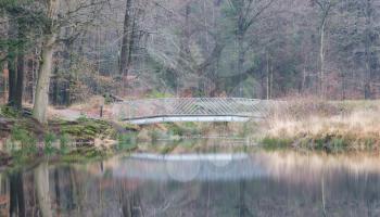 Bridge over a lake in the forest - The Netherlands