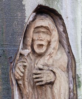 Spooky old carving in a tree - The Netherlands