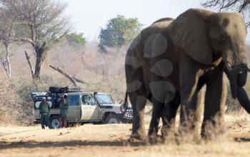 Divundu, Namibia, 13 august 2018 - Professional photographer taking shots of an African Elephant