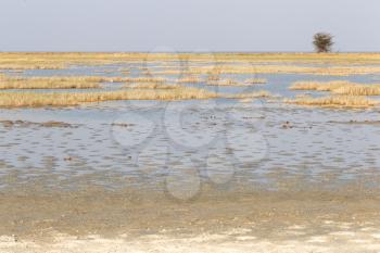 Makgadikgadi Pans National Park expansive landscape, Botswana