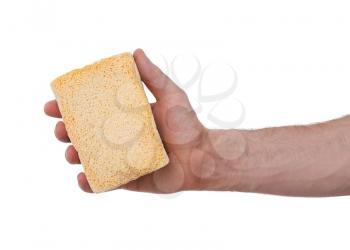 Yellow Sponge with white background, hand of an adult man