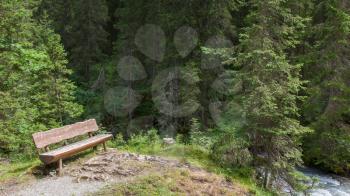 Empty bench in a Swiss forrest - Loneliness concept