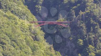 Swiss Alps metal bridge in the dense forrest