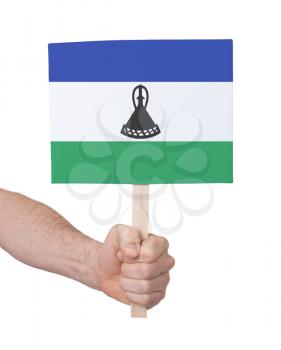 Hand holding small card, isolated on white - Flag of Lesotho
