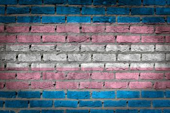 Dark brick wall texture - flag painted on wall - Trans Pride