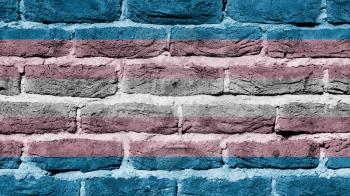 Very old dark red brick wall texture, flag of Trans Pride