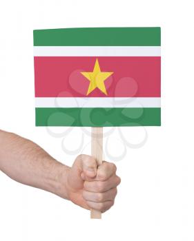 Hand holding small card, isolated on white - Flag of Suriname