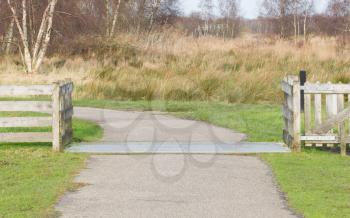 Cattle grid in the typical dutch landscape