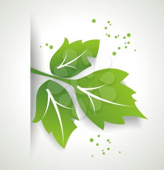 Fresh green leaf, organic , eco friendly symbol, vector.
