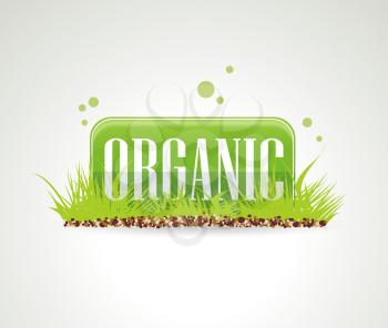 Organic and farm fresh food badge or label