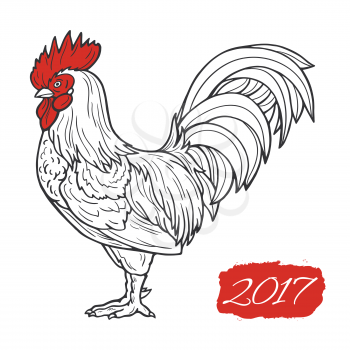 Stylized red rooster hand drawn in lines isolated on white background. 2017 symbol. Vector illustration. Can be used for website background, greeting cards, calendar, printing