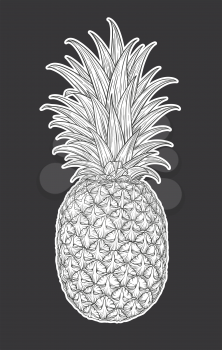 Hand drawn decorative pineapple. Stylized colorful fruit. Summer spring background, nature collection. Vector illustration