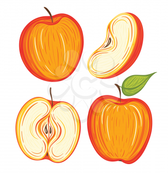 Colorful hand drawn red apples collection, decorative vector illustration