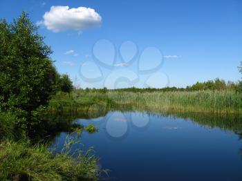 the beautiful summer landscape with river and trees