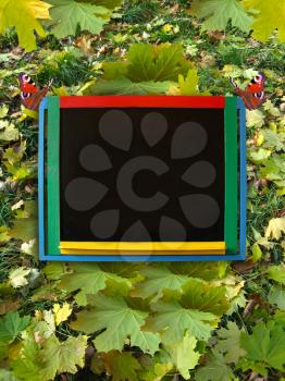 colored blackboard on the autumn leaves background
