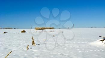 Winter landscape with snow on the field