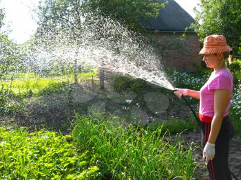 The girl watering a kitchen garden in the country