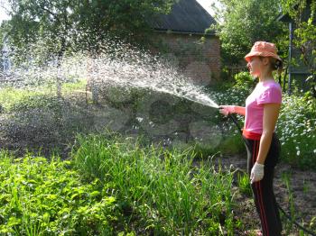 The girl watering a kitchen garden in the country