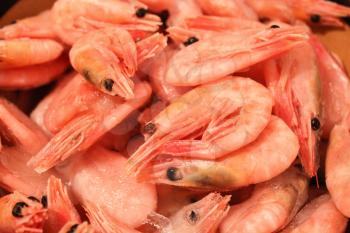 the image of many boiled tasty shrimps