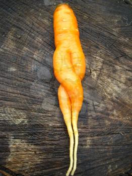 the image of unusual carrot lying on a stub