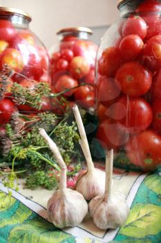 red tomatos in jars and garlic with fennel prepared for preservation