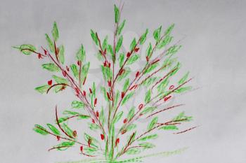 Multicolored children's drawing of green bush and red berries on it