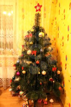 image of harmonous and dressed up New Year's fur-tree