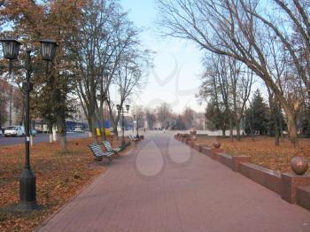 benches and path in the Autumn city park with trees and leaves