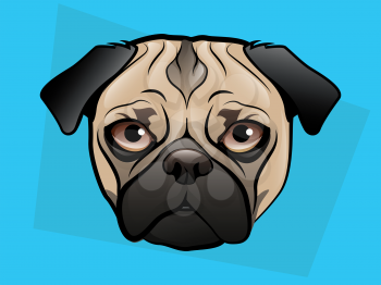 Pug Dog Face on a Blue Background