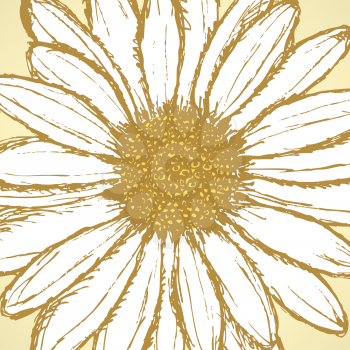 Daisy flower, vector sketch background eps 10

