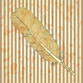 Sketch feather, vector vintage background eps 10