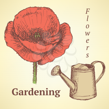 Sketch poppy and watering can, vector vintage background
