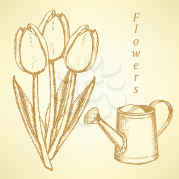 Sketch tulip and watering can, vector vintage background