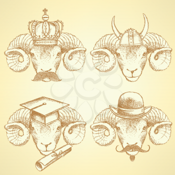 Sketch unusual rams set in vintage style