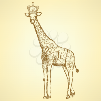 Sketch giraffe in crown, hipster background