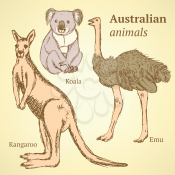 Sketch Australian animals in vintage style, vector