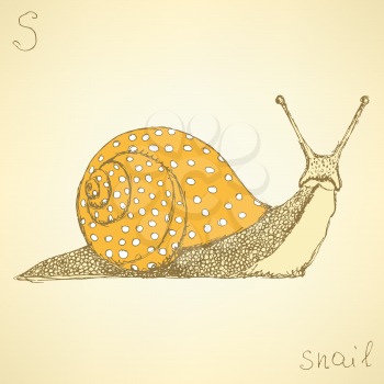 Sketch fancy snaill in vintage style, vector