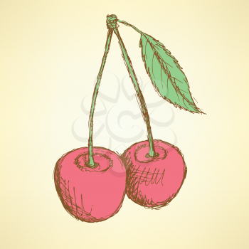 Sketch tasty cherry in vintage style, vector