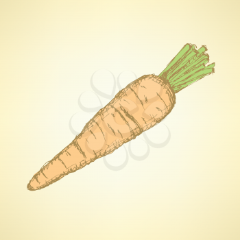Sketch tasty carrot in vintage style, vector