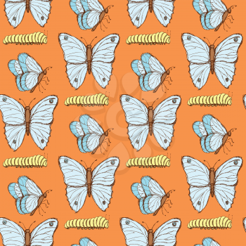 Sketch butterfly and caterpillar in vintage style, vector seamless pattern