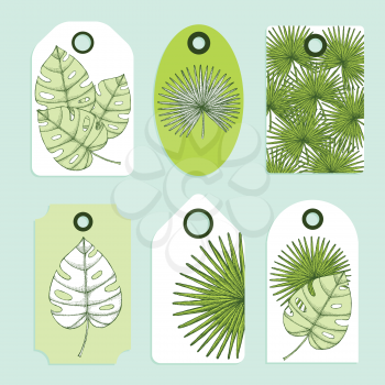 Engraved palm leaves set of tags in vintage style, vector